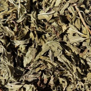 Pepermunt Blad Heel (Mentha × piperita)