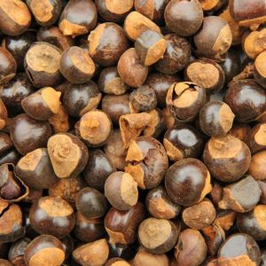 Guaraná Zaad Heel (Paullinia cupana)