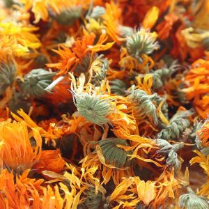 Goudsbloem met Kelk Heel (Calendula Officinalis)