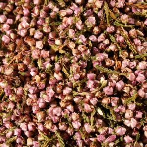 Erica Bloemen (Heide) Violet Ontsteelt (Calluna Vulgaris L.)