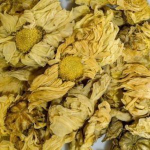 Ju Hua / Chrysanten Bloem (菊花)