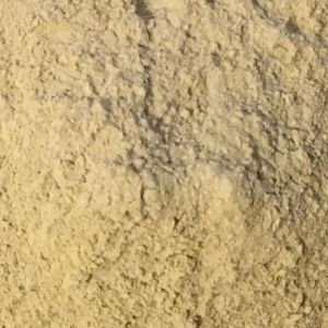 Iers Mos Poeder (Chondrus Crispus)