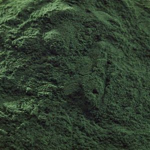 Chlorella Poeder (Chlorella Pyrenoidosa)